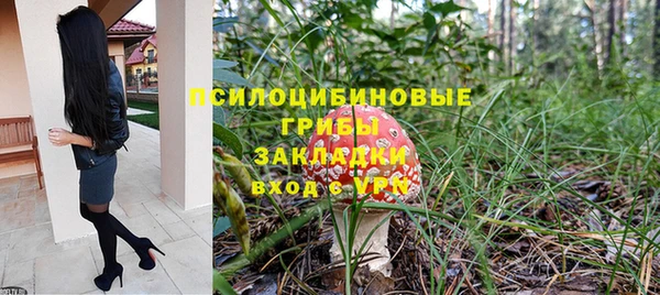 а пвп мука Туринск