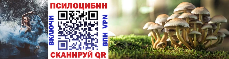 Купить где  Абдулино  Псилоцибиновые грибы ЛСД 